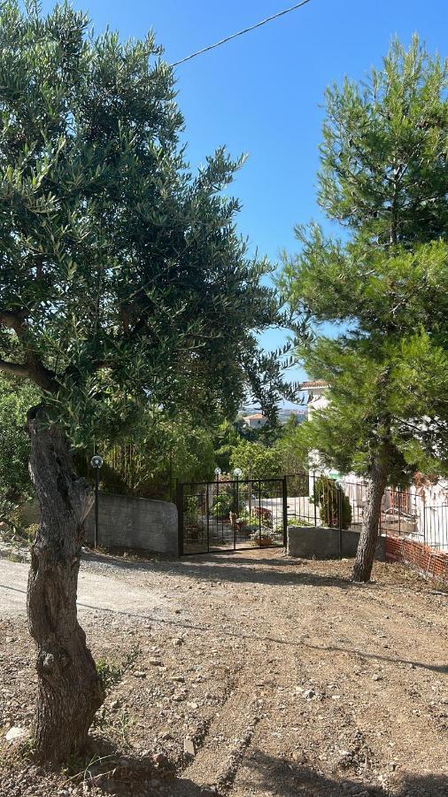 Villa Loren Praia a Mare Exterior photo